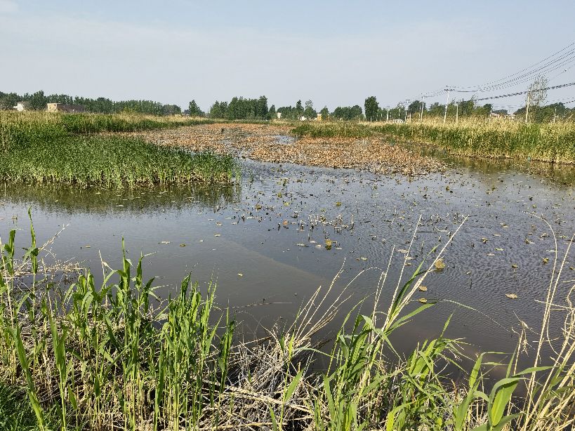 骑游白洋淀大堤,骑游白洋淀旅游码头