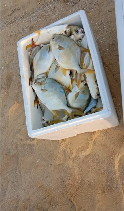 跟老船长出海到神秘钓点，渔获狂拉不断，卖了一千多块钱