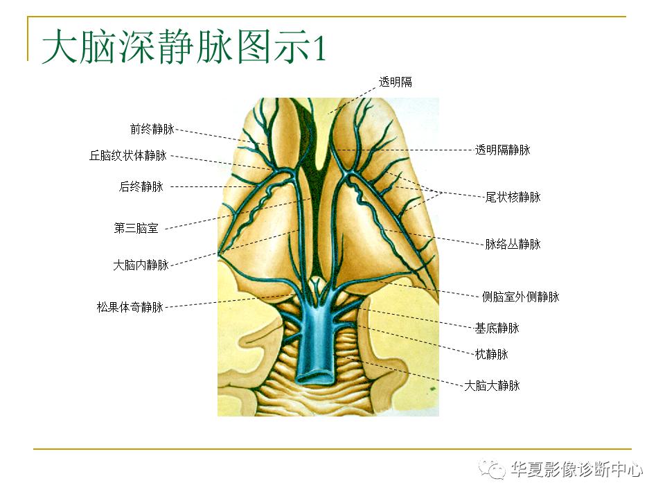 中国人脑立体定向mri应用解剖图谱,脑mri示意图