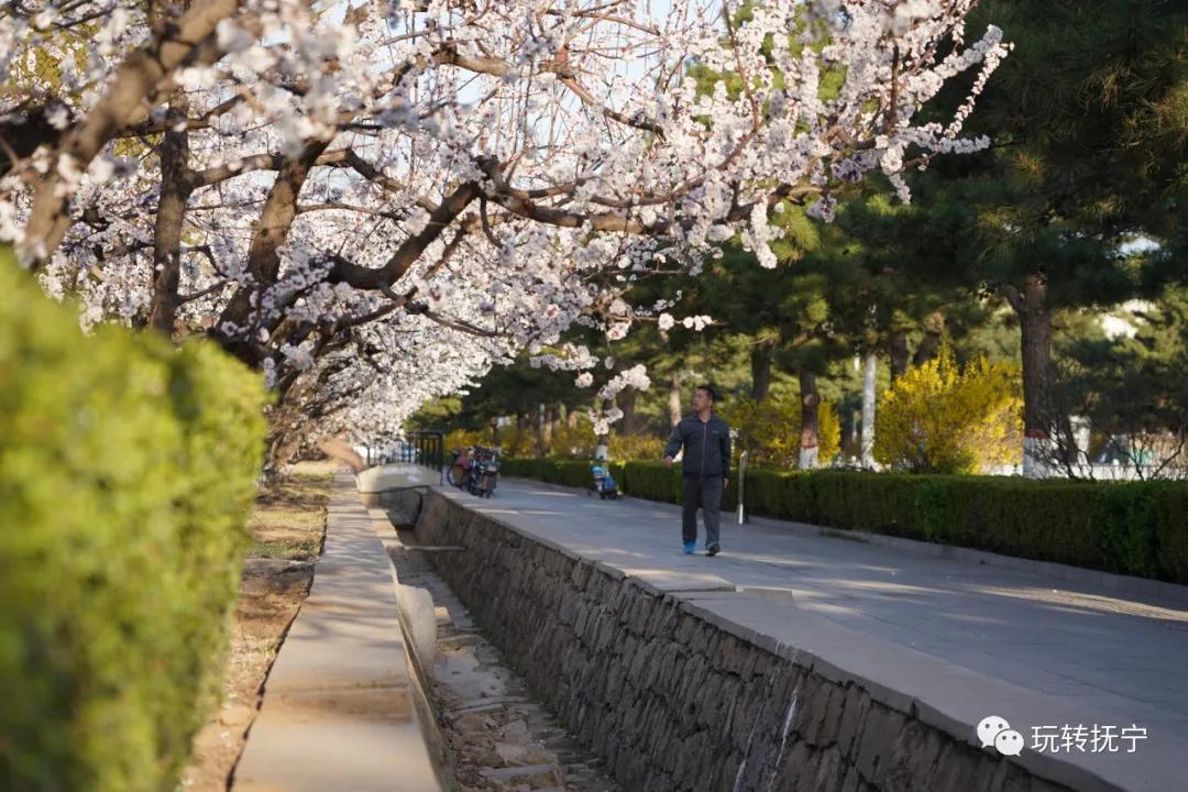 抚宁所有小区,抚宁的小区