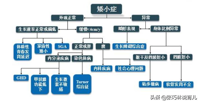 怀孕期间怎么能让孩子长高个子,孕期如何让宝宝快速长高