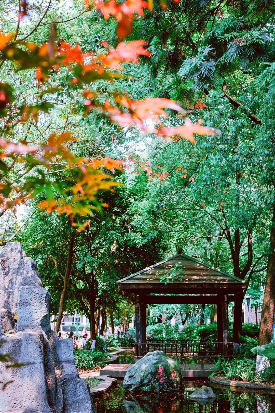 成都四七九初中有哪些,成都四七九中分别是哪些学校