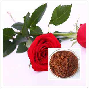 女明星对赵丽颖的喜欢,好多女明星喜欢杨紫