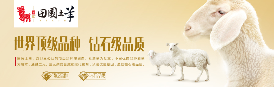 冲突营销案例分析,冲突品牌策划