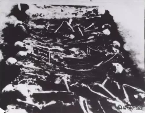 学大庆学大寨,学大庆视频