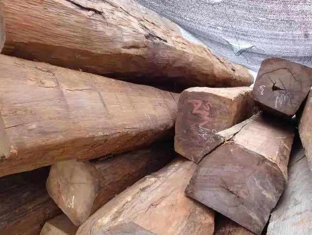 非洲酸枝只是一种实木，不属于红木！大家不要再被骗了！