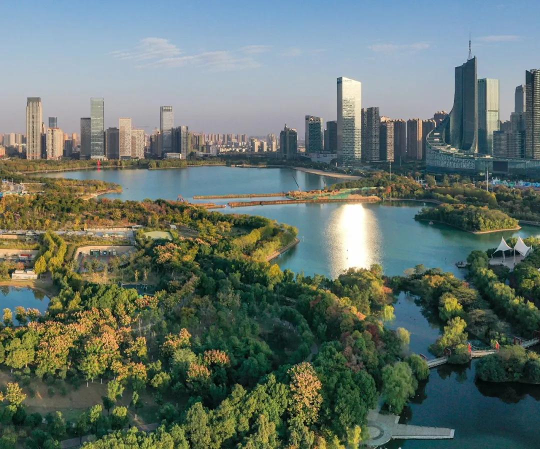 合肥市政务区的天鹅湖介绍,合肥天鹅湖设计