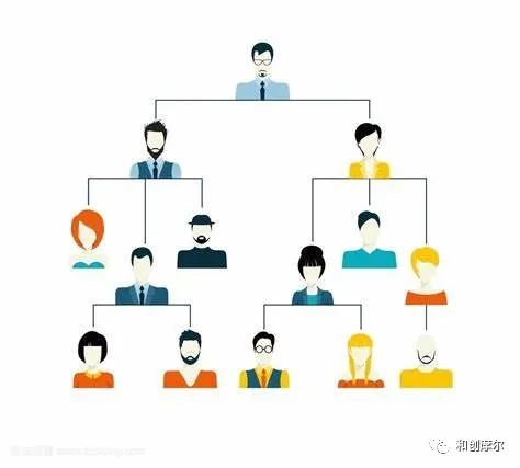 碧桂园组织架构调整山东,碧桂园万科房企排名