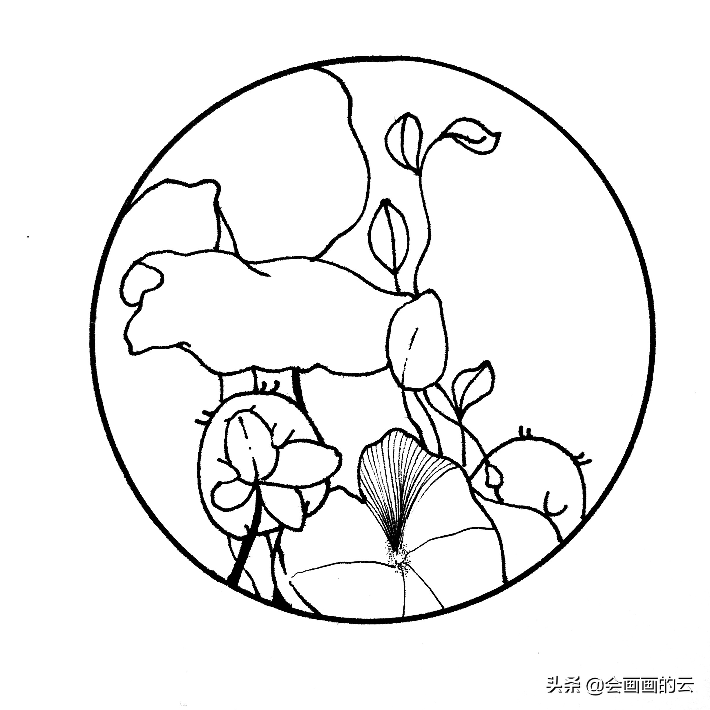 二次元简笔画教程新手入门必备,画画新手必练300图简笔画