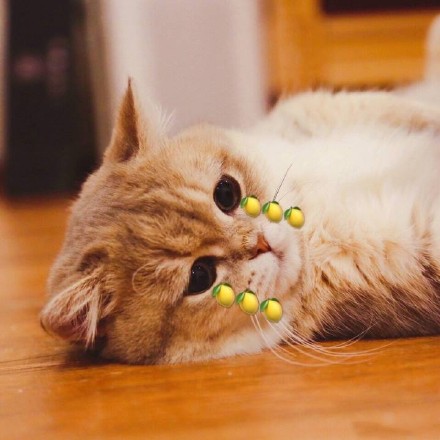 被柠檬酸到的表情包,柠檬酸酸的表情包