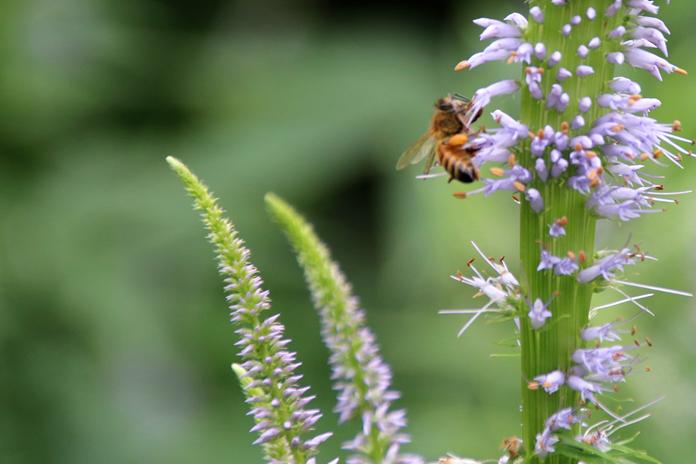 世上从来就没有什么救世主,人生从来没有救世主