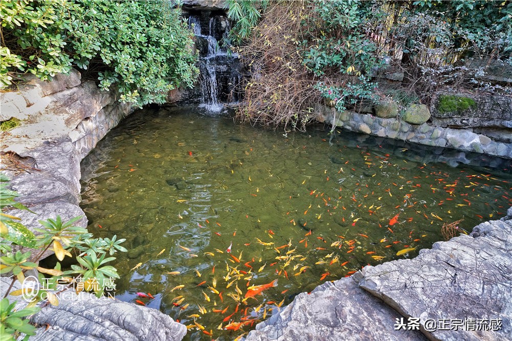 云曼温泉推荐,来云曼温泉