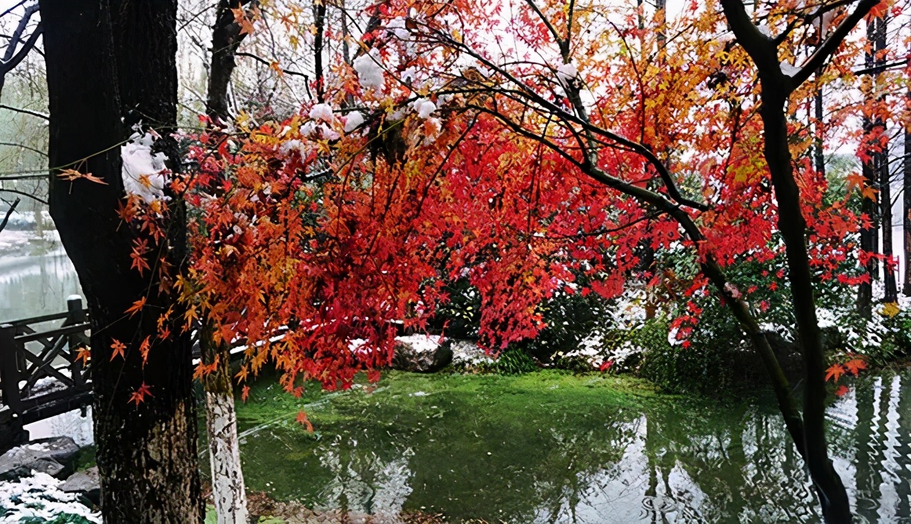 良渚君澜度假酒店攻略,良渚君澜度假酒店预订