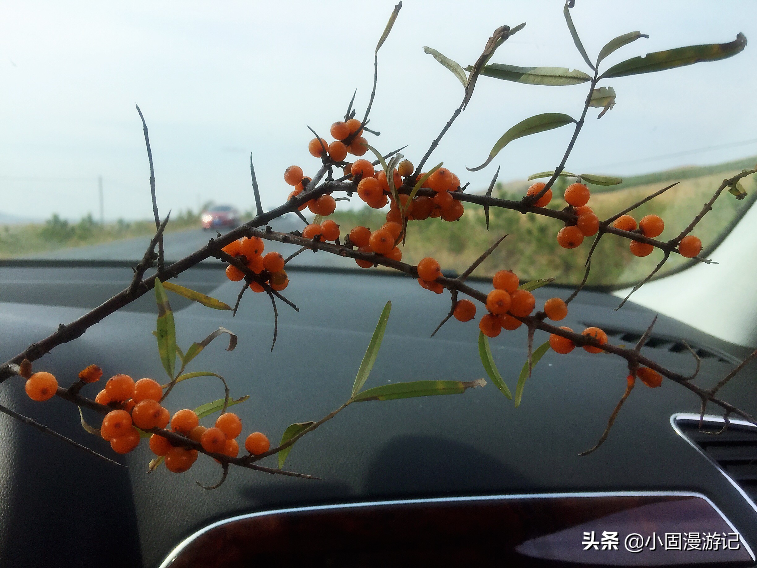 旅行中的小知识,旅行小常识视频大全