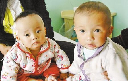 三鹿奶粉毒害的是哪一年的孩子,被三鹿奶粉曾经毒害过的儿童现状