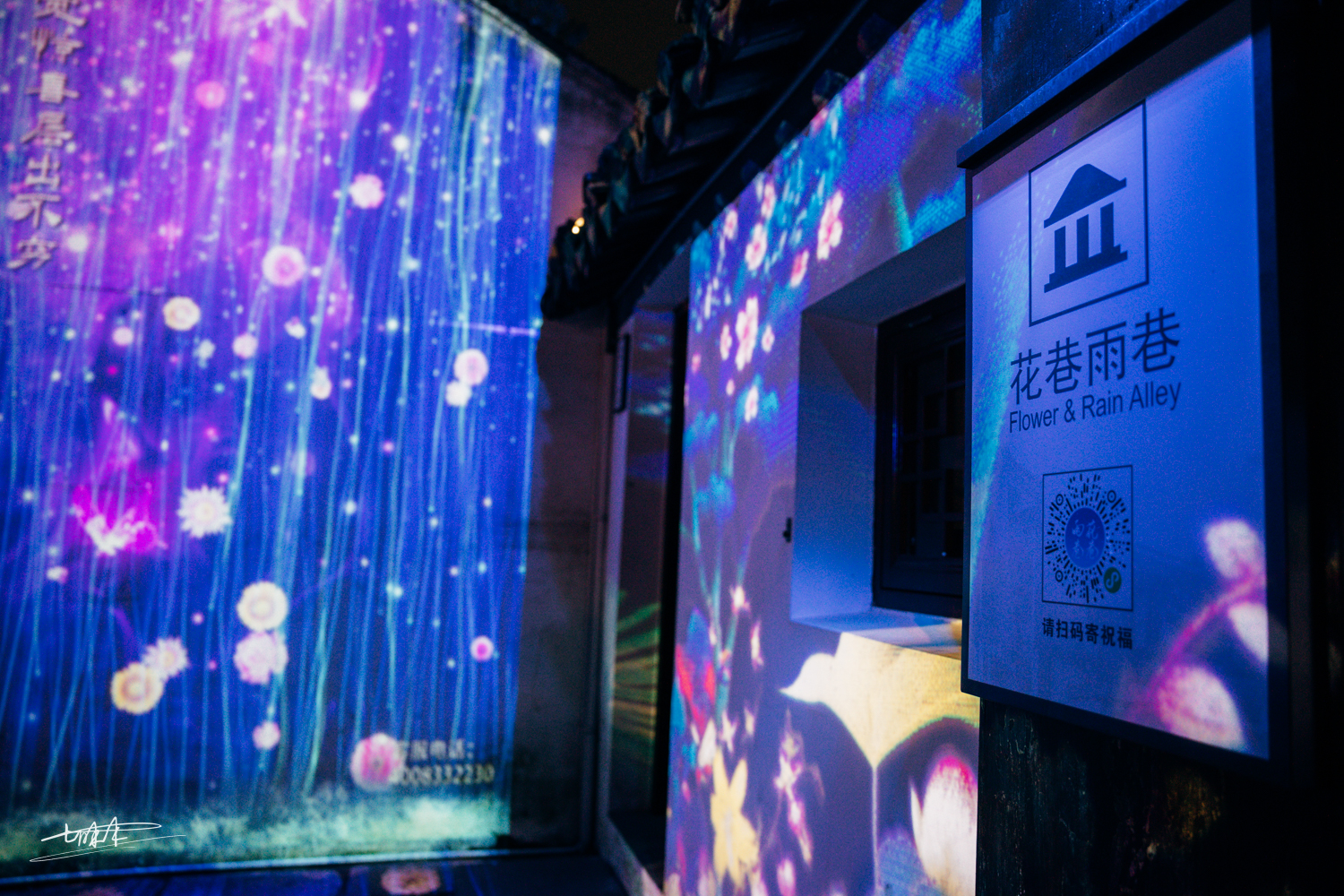 梦里水乡乌镇周庄风景视频,周庄版梦里水乡