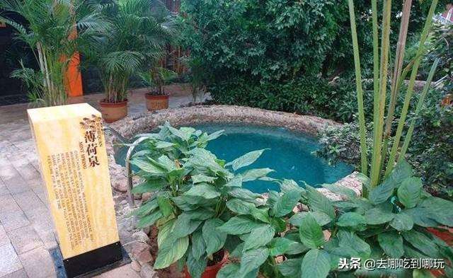 庐江金孔雀温泉门票,合肥庐江金孔雀温泉攻略