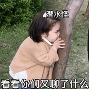 猪白菜今晚有空吗可爱表情包,今晚有空么猪拱白菜表情包