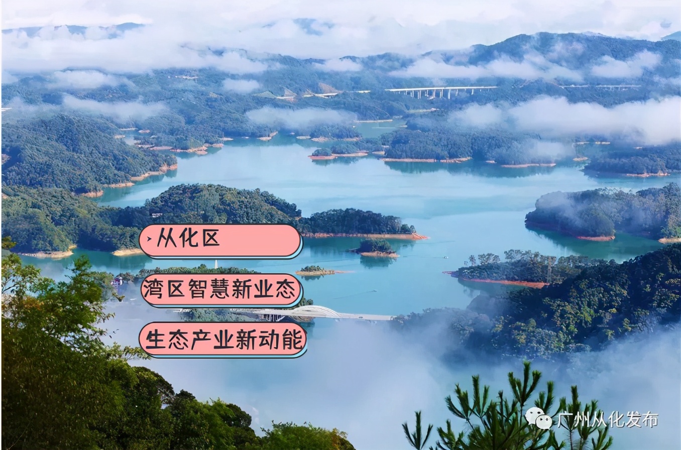 来广州才有的奶茶,来广州怎么玩