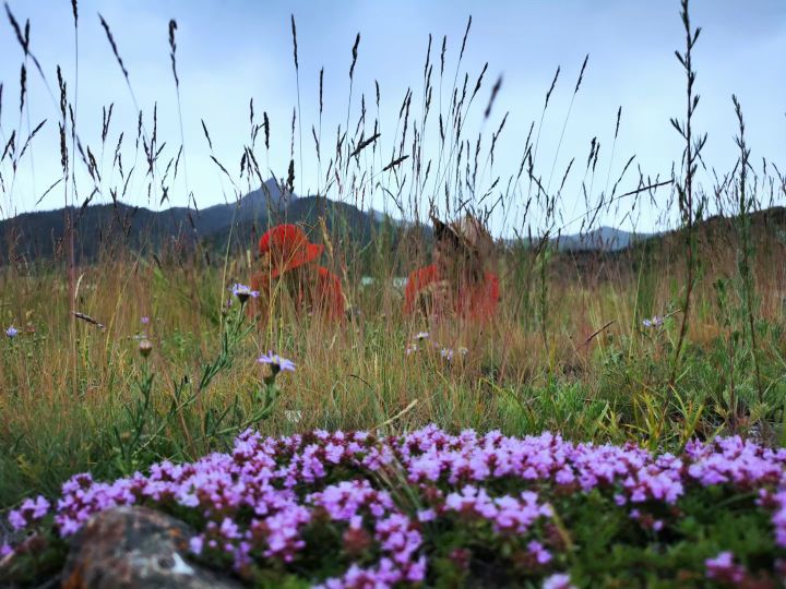 父亲让我教他怎么在微信发红包:原来他们真正想要的是这些