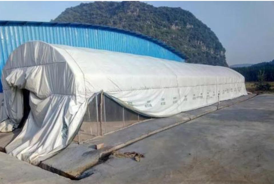 蚕桑产业化发展,桑蚕养殖的全产业链有哪些