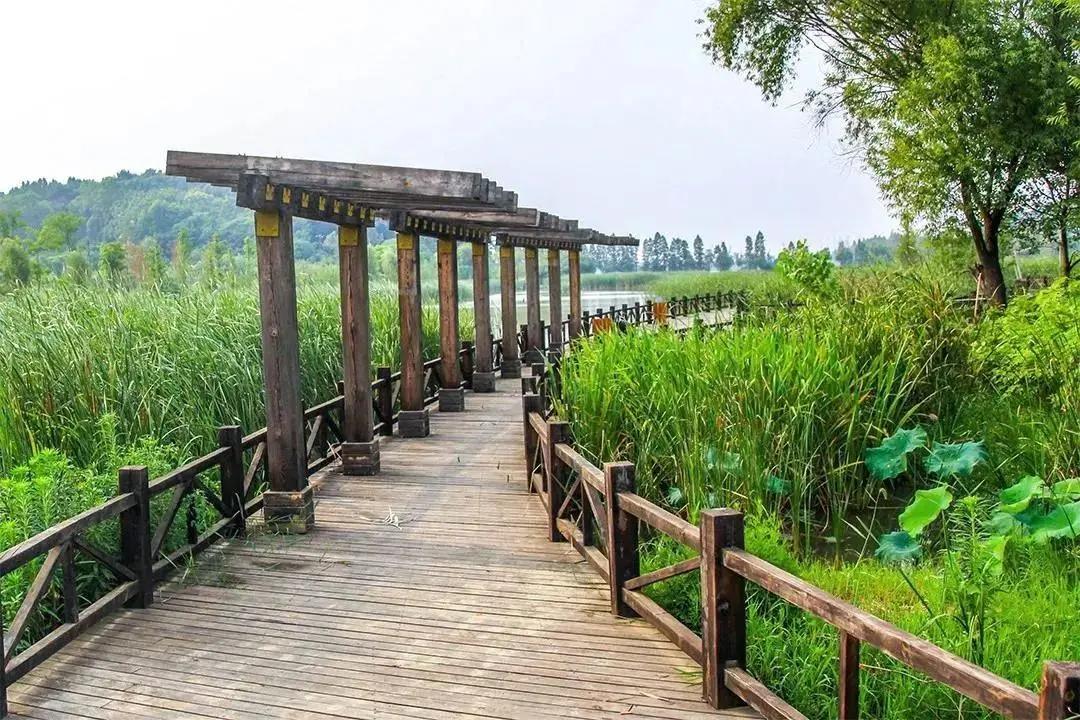 武汉最有人气的户外烧烤据点都在这了!赶紧打卡吧