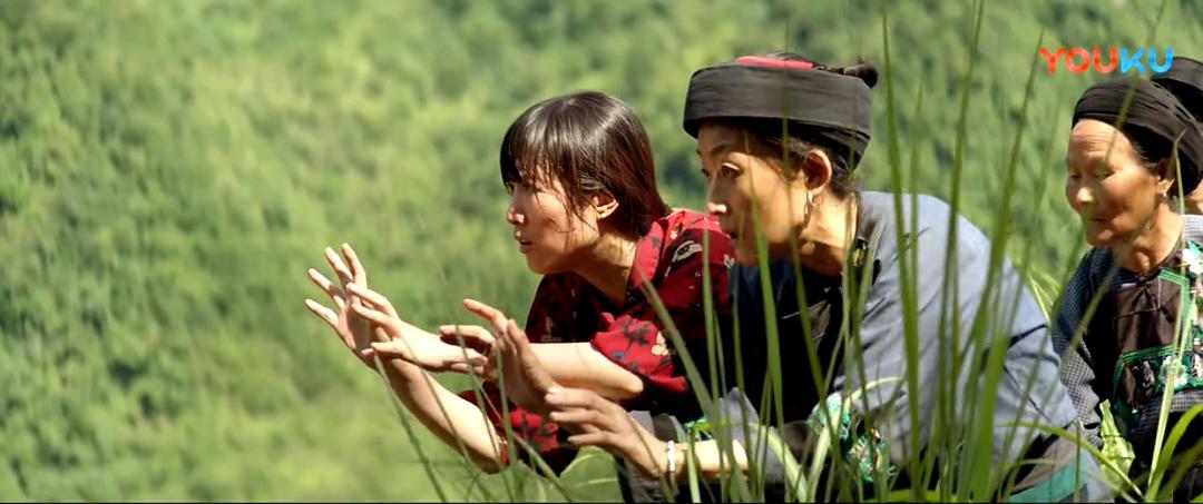 红海行动获得第几届百花奖,红海行动金鸡奖最佳影片