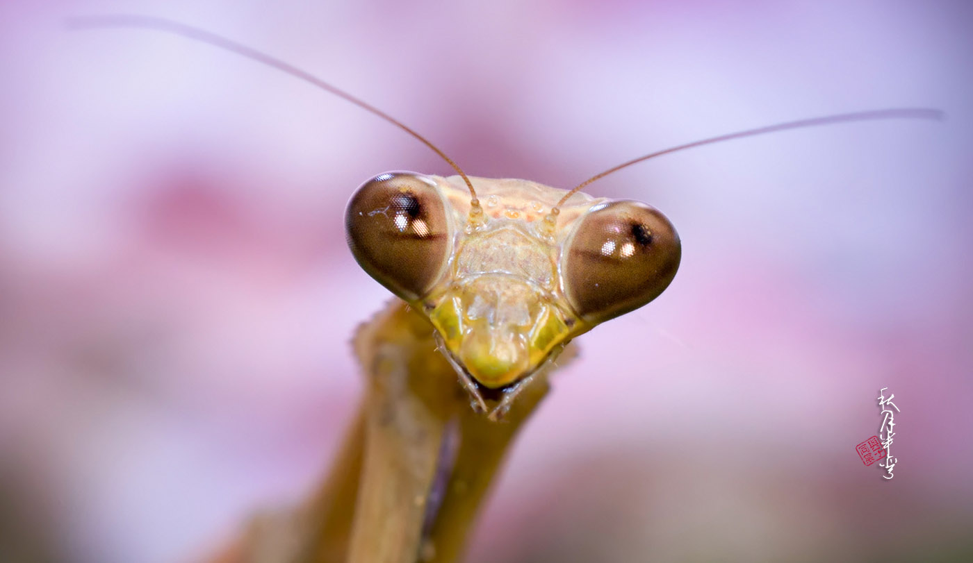 第9篇关于二手（这是个沉重而有趣的话题）