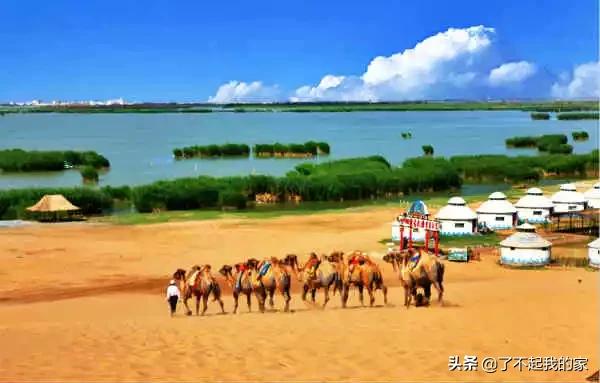 洛阳特产必买清单一览表,中国各地特产一览表