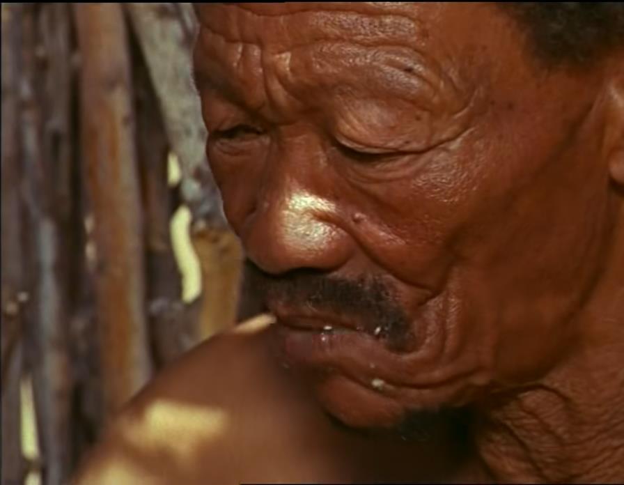 蛇咬蝎追，八岁男童如何在沙漠里生存三周？