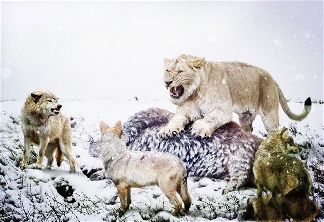 残暴狮母狮,残暴狮打得过原始狮吗