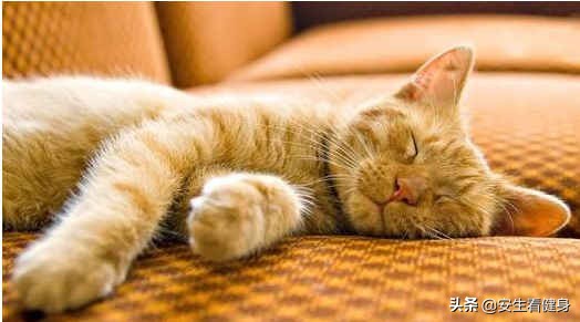 想要健康你最应该做的一件事,健康美丽的最佳方法