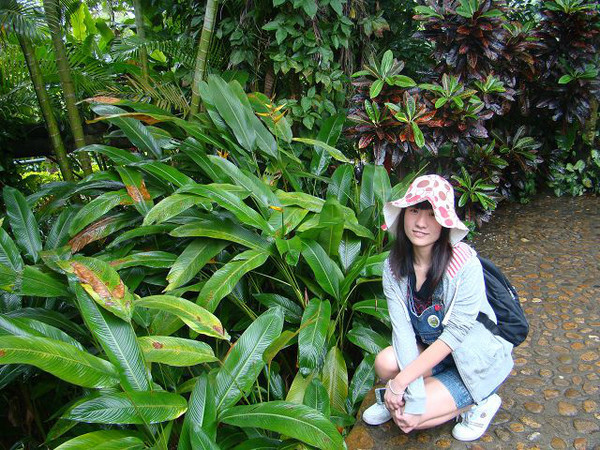 西安到三亚旅游攻略自由行费用,海南旅游攻略自由行三亚最佳路线