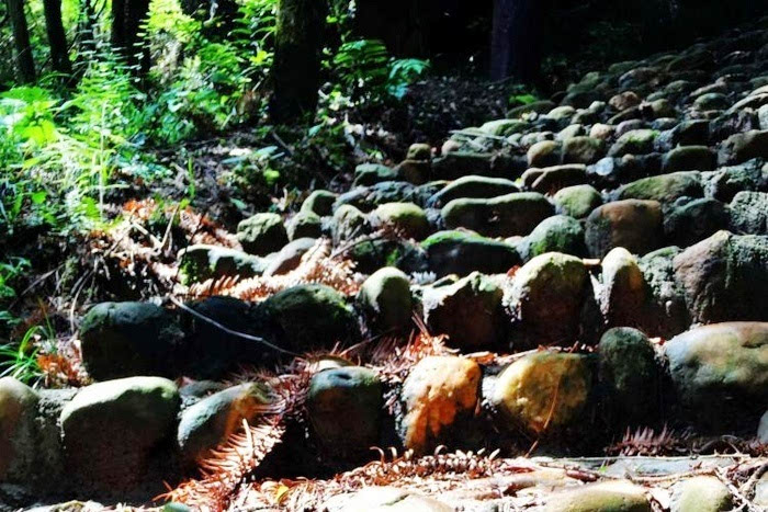 周末连城两日游，美景美食一路相伴