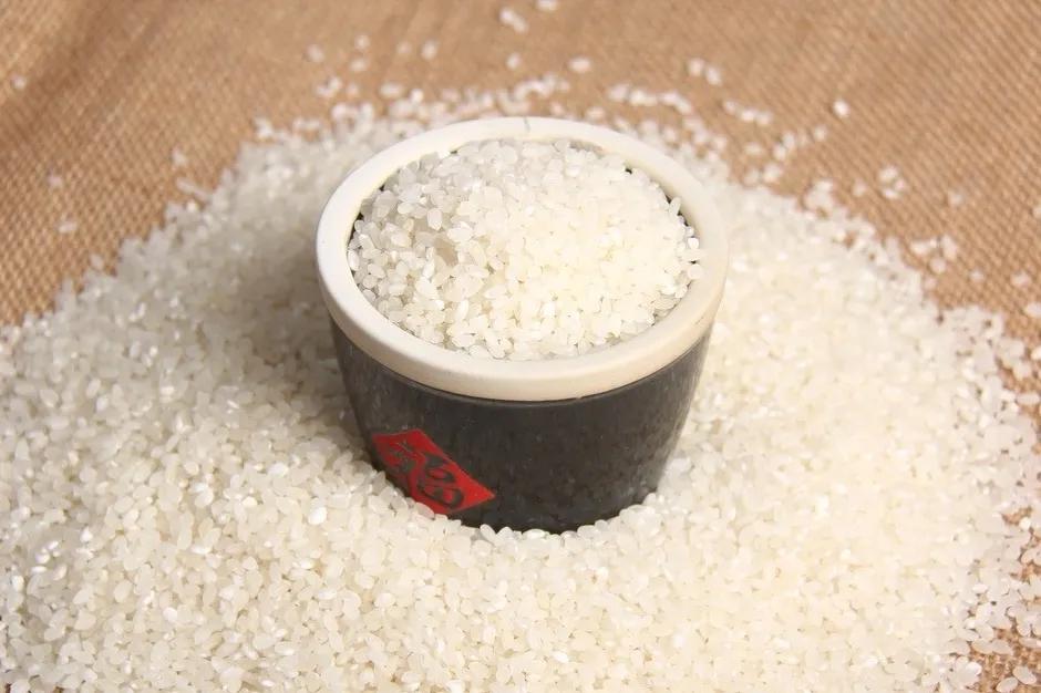 陈米翻新能辨别么,大米陈米怎么辨别