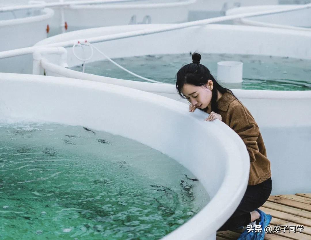 南昌生态谷智慧农场采摘,南昌亲子采摘踏青