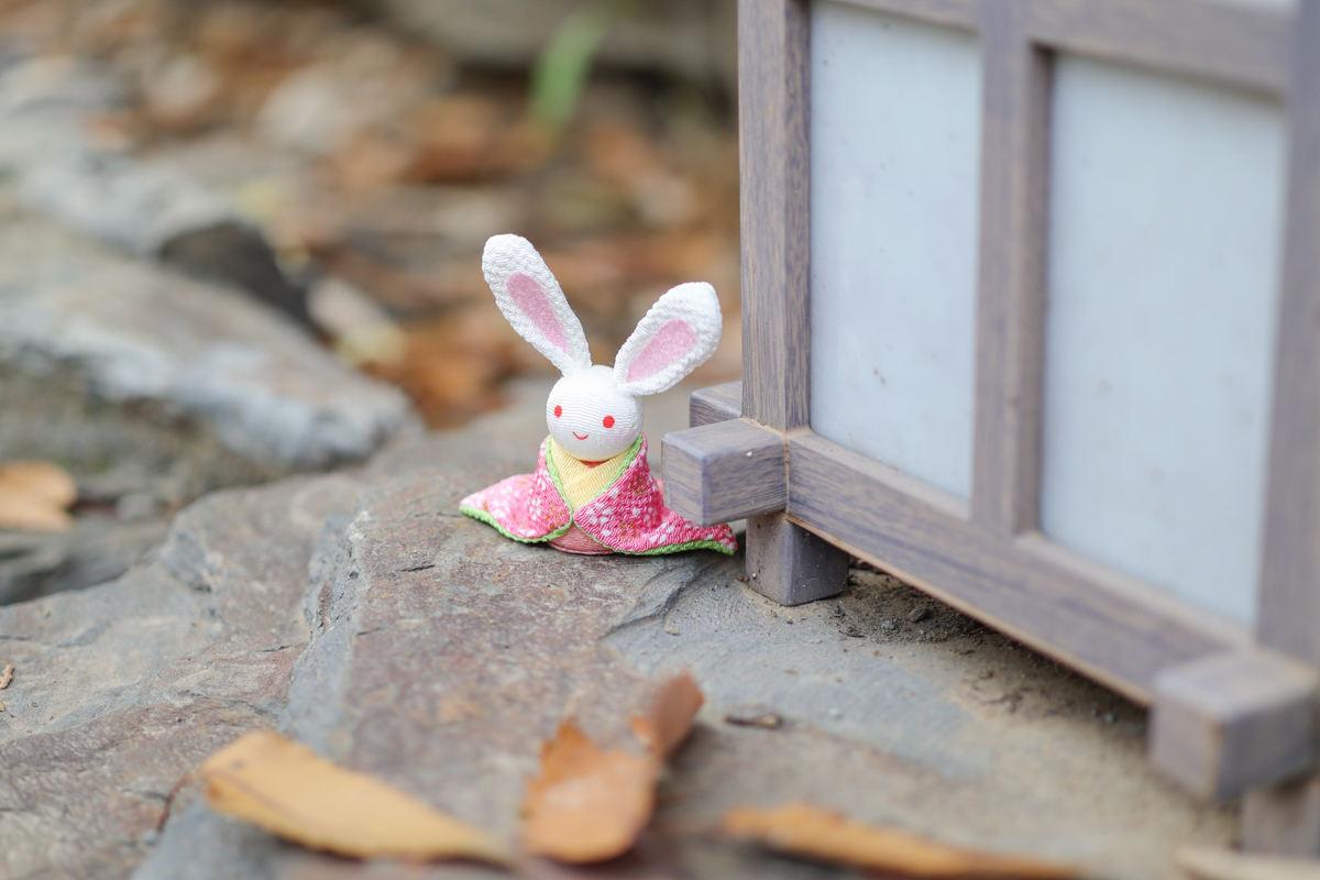 佳能eosm2值得买吗,佳能发布eosm200入门级无反相机