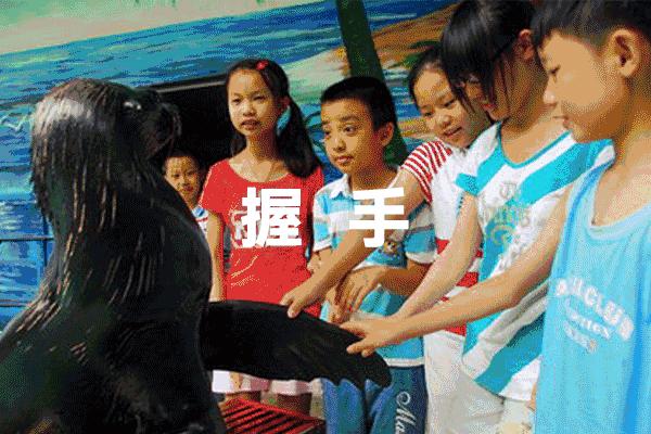 苏州太湖花海主题公园,太湖花海游乐场