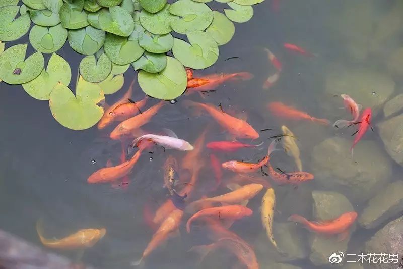 澶氳倝澶х浜屾湪,澶氳倝杈句汉浜屾湪