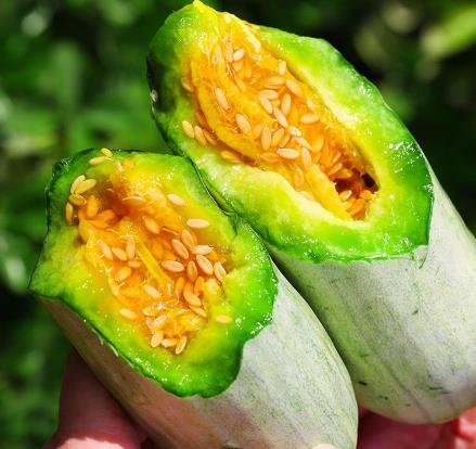 6月有钱没钱,这5颗水果都要买,饭前或饭后吃点,清爽美味营养多