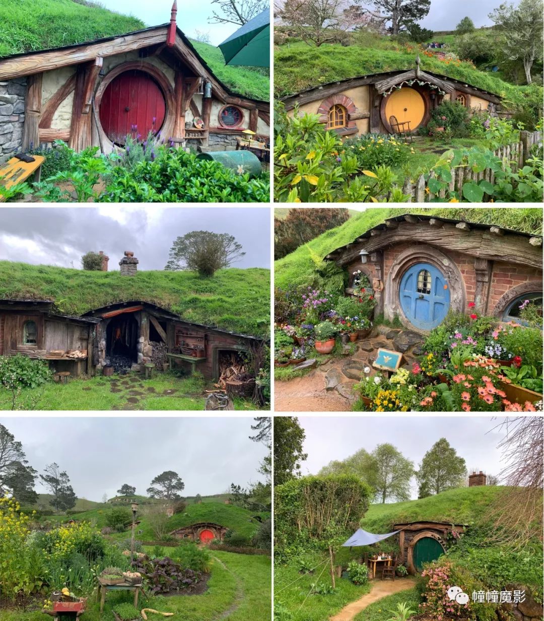 新西兰见闻录100,新西兰生活见闻