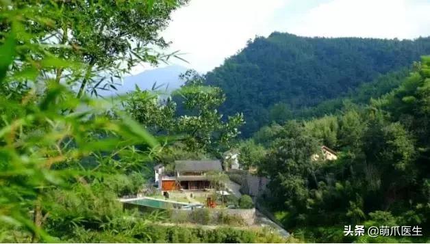 上海可带宠物入住的酒店推荐,怎么选宠物友好酒店房间