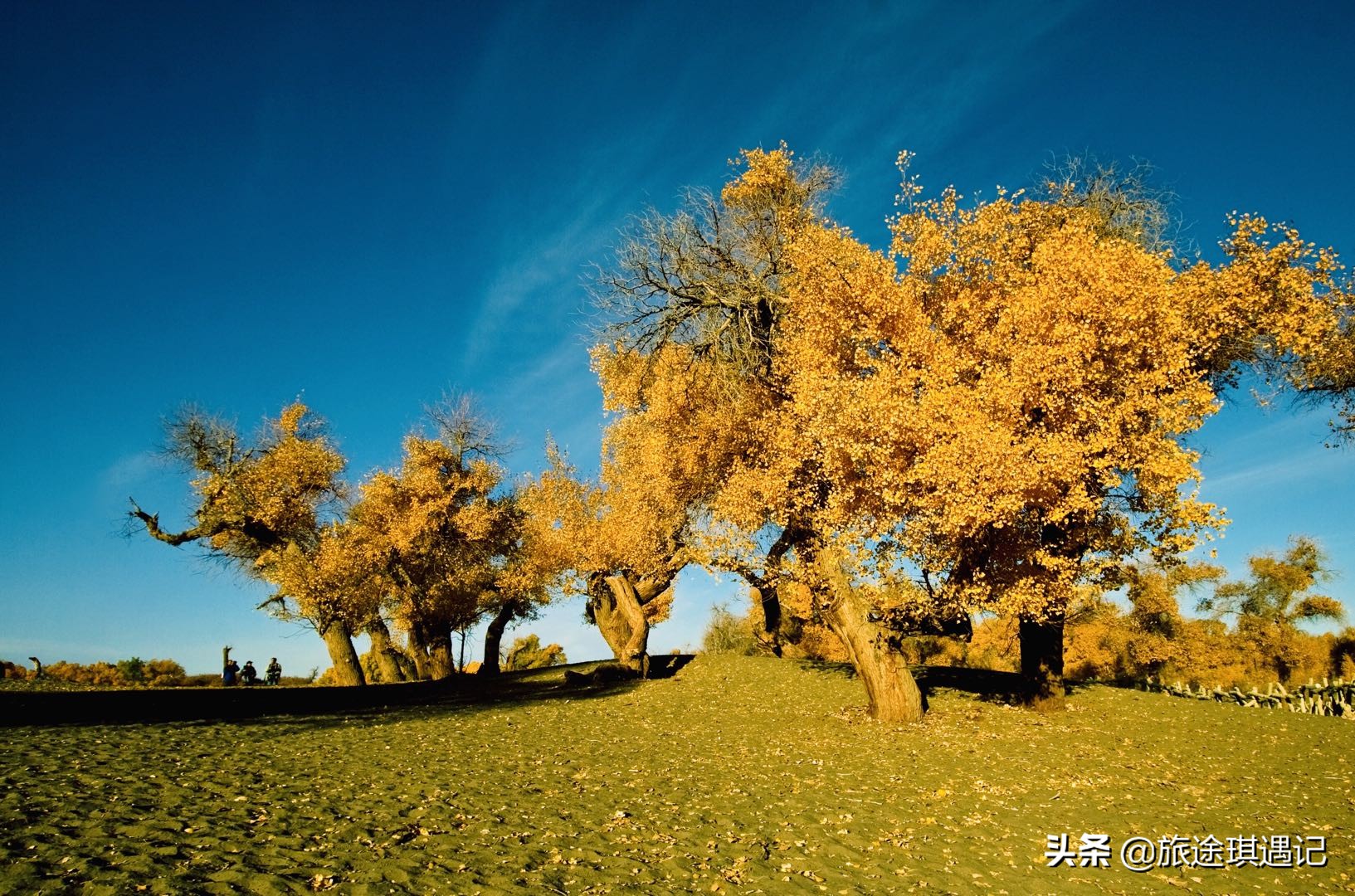 去新疆南疆北疆,去南疆北疆游