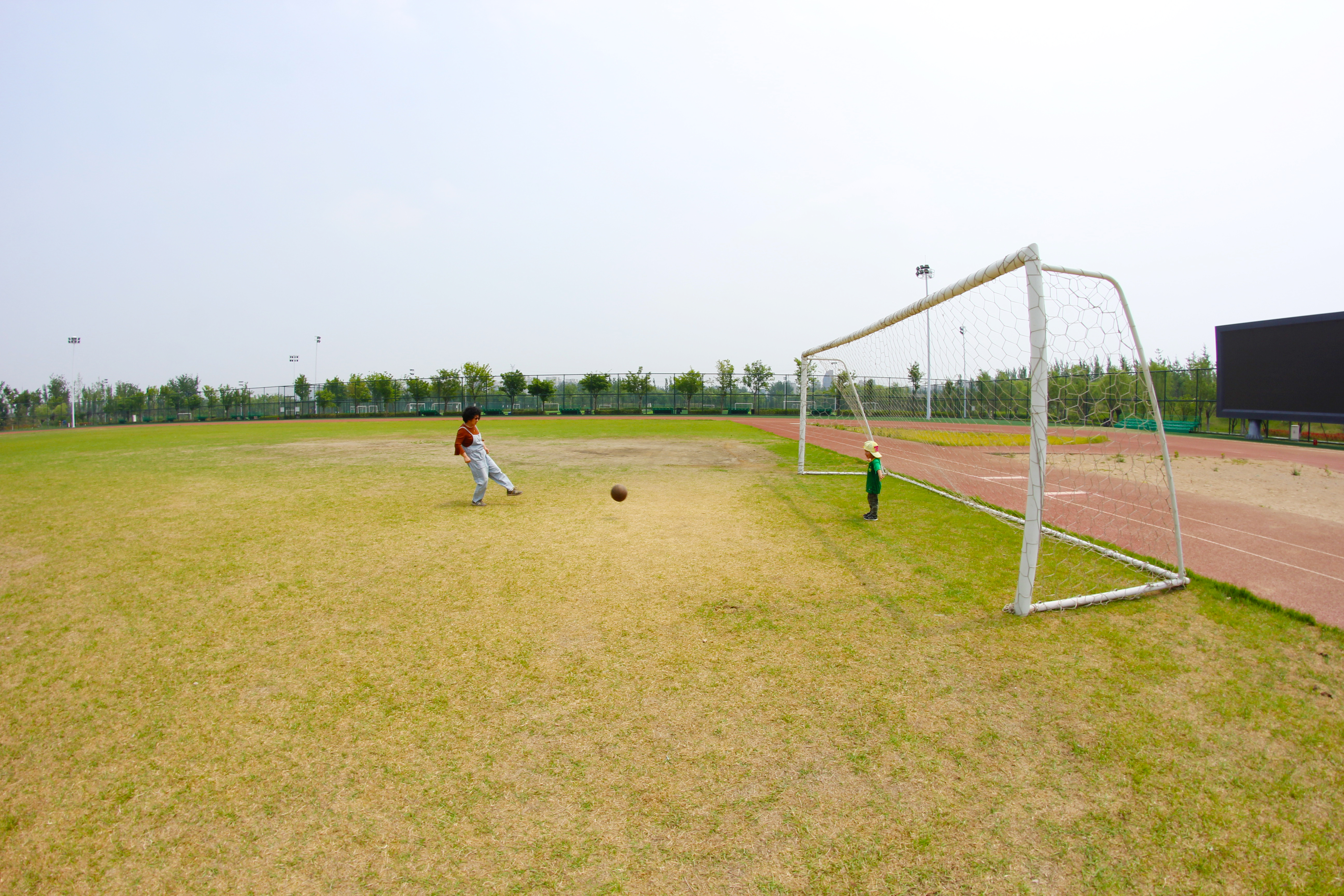 北京向日葵花海最佳时间,北京郊区向日葵花海