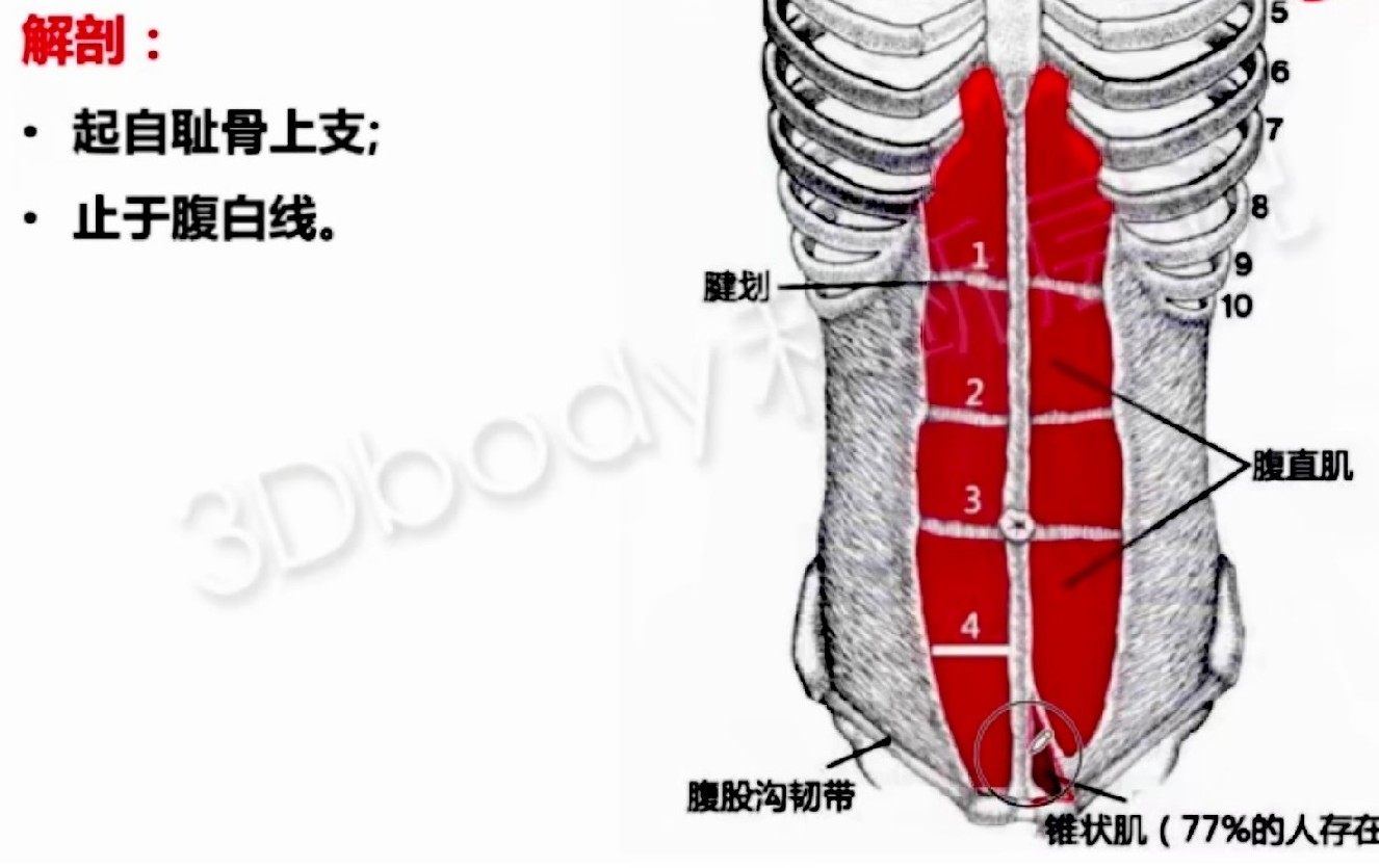 太极札记96,太极札记62