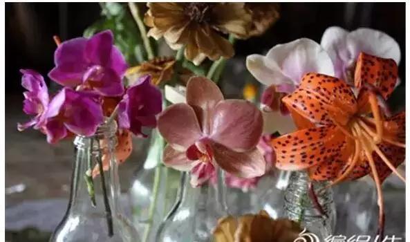 如何把新鲜的花弄成永生花,怎么才能将鲜花变干花