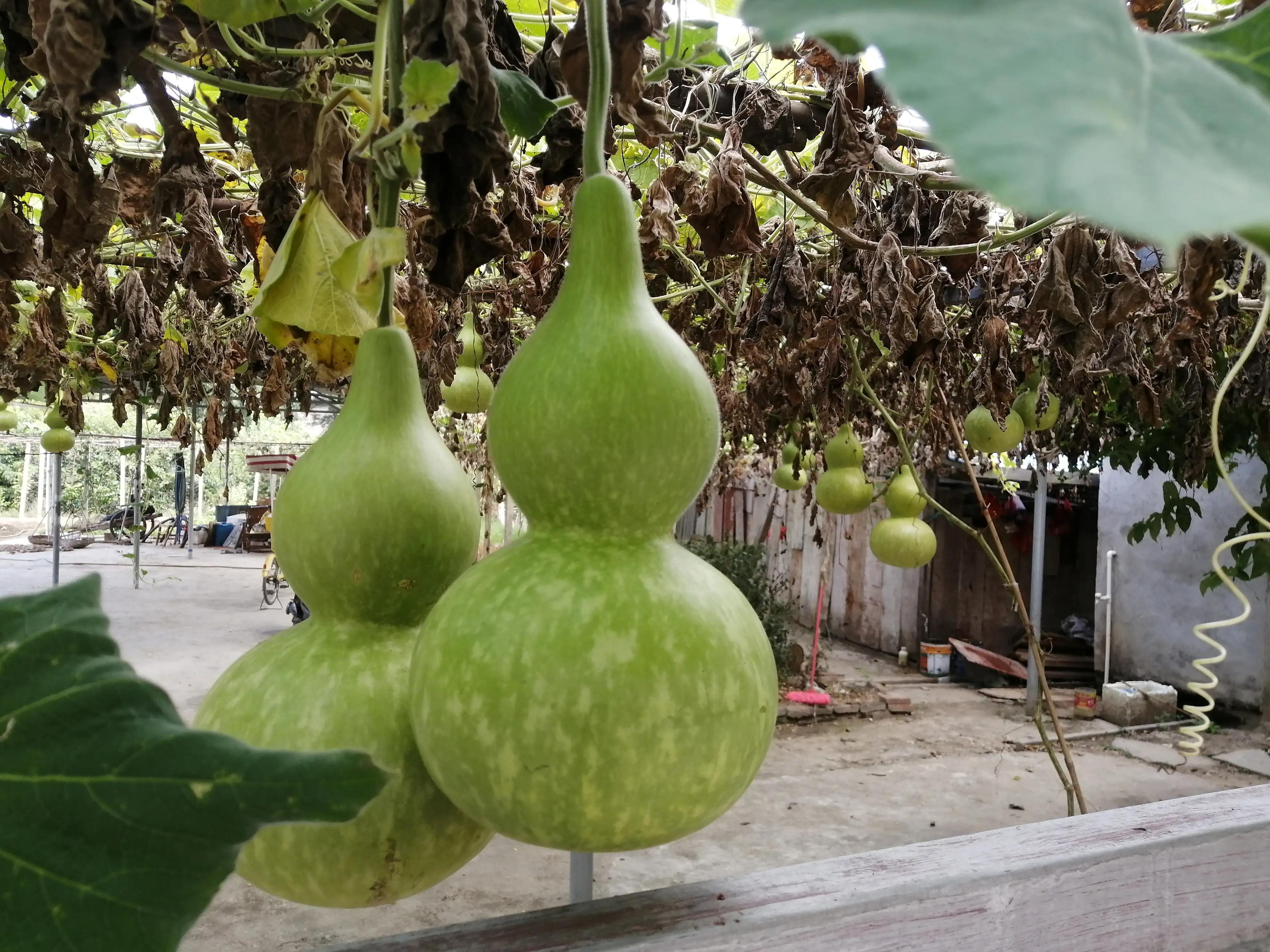 桂林山水让我流连忘返,桂林山水绝对让你流连忘返