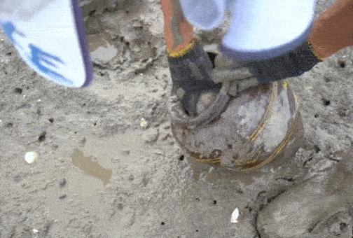 为何年轻人都在沉迷赶海视频,为什么大家都爱看赶海