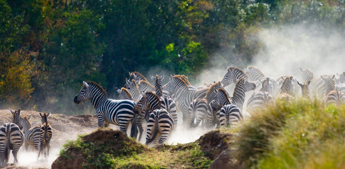 世界上宝藏最多的国家,世界亲华国家有哪些国