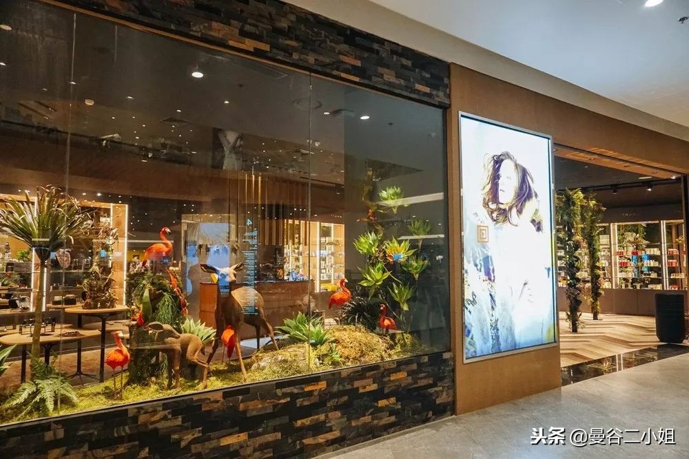 泰国曼谷水上商场,泰国室内水上集市